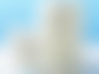 Leite: clima adverso e custos em alta mantêm avanço de preços no campo