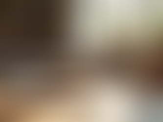 Finding the Perfect Homeschool Curriculum: Choosing a Homeschool Program That Fits Your Family