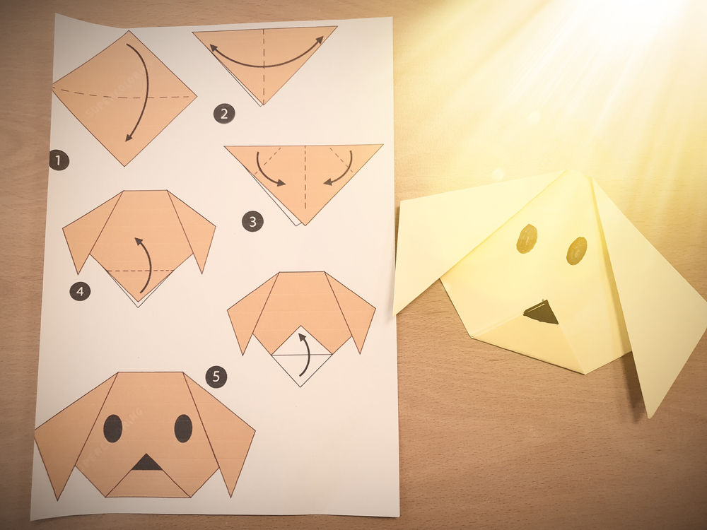 Wir Falten einen Hund