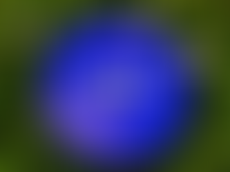 Se pone cremita… ¡no!, se pone verde. La sustentabilidad llega a Nivea