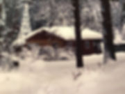 IMG-0010.jpeg