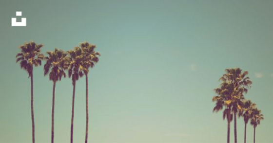 957e8a1a6eb8982e7aefb6c617f69c42-2_edited.png
