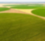 Aerial view of irrigated crops in circular patterns using pivot irrigation by Irrigation Logistics NZ
