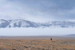 Mt. Ararat