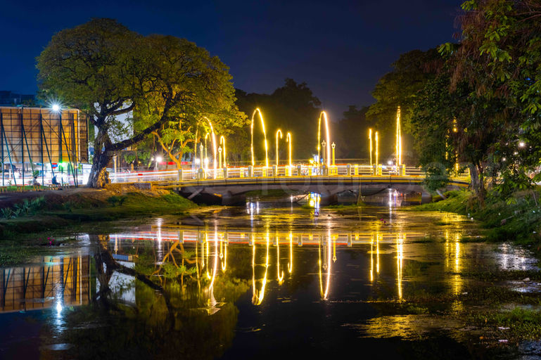 Cambodia culture photography nature Siem Reap Khmer photos director chair project art
