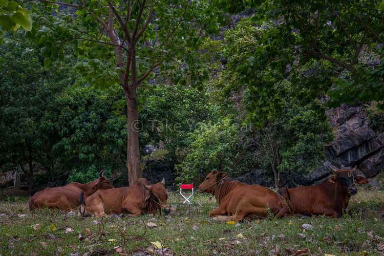 Take Your Seat red director chair photography culture urban nature travel photography
