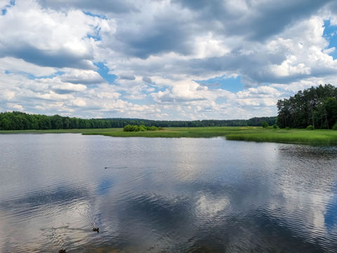 widok na Staw Echo w Zwierzyńcu