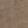 Screened Loam
