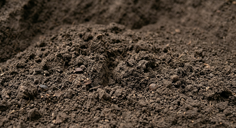 Screened Loam