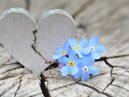 Finding Hope After Loss: Grief Share Support Group