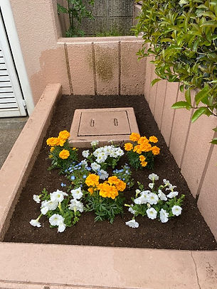 花壇の植え替え