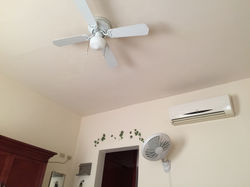image4.JPG