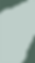 fondo verde_edited.png