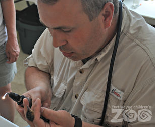 Best of Both Worlds: A Conversation with Joe Smith, Director of Animal Programs at Fort Wayne Childr