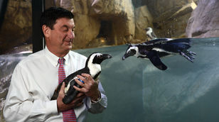Wildlife Paradise in the Louisiana Bayou: A Conversation with Ron Forman, CEO of Audubon Nature Inst