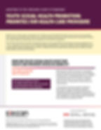 Adapting to the Ongoing COVID-19 Pandemic - Youth Sexual Health Promotion: Priorities for Health Care Providers