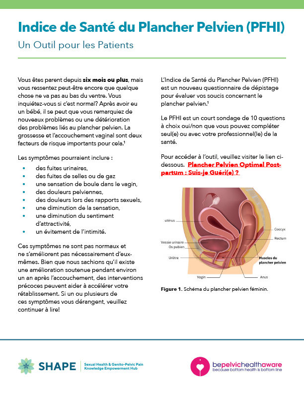 Indice de Santé du Plancher Pelvien (PFHI)