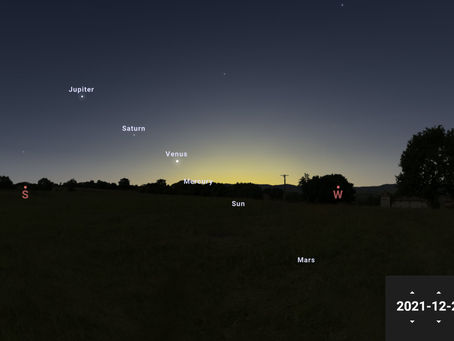 What's Up?  -DECEMBER  2021