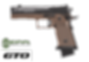 SIG SAUER P211 GTO-Combat