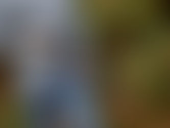 Savage A22 Precision