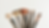 pexels-didsss-1499511_edited.png