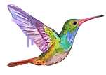 vanja_sefer_JOY.png