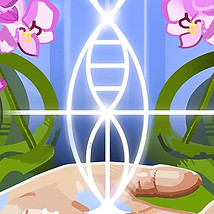 Portal of Awakening Vanja Seferovic.jpg