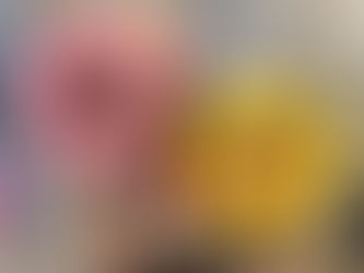 Joana, Marisol, and Vivian: A Family's Journey to Stability