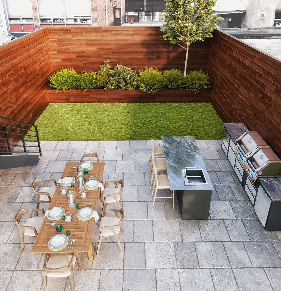 Back Yard