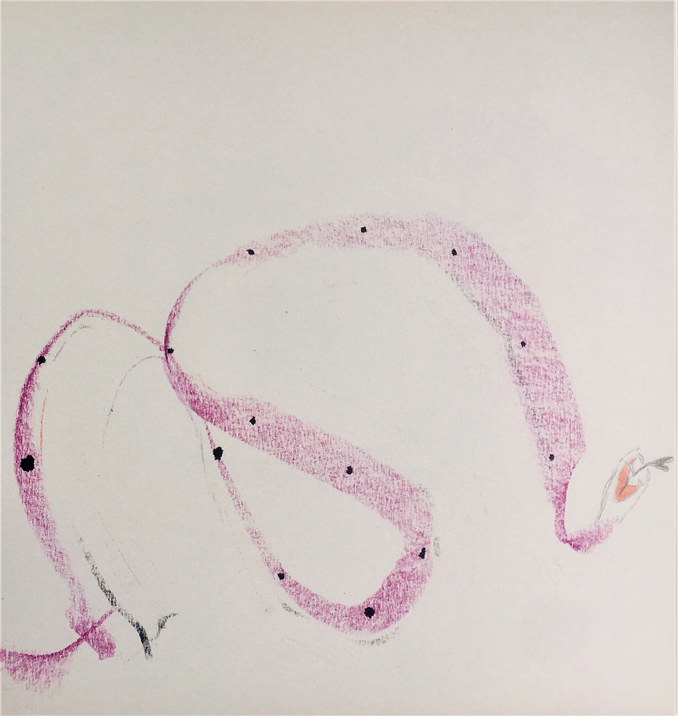 Snake, crayon on paper, 25cm x 25cm.jpg