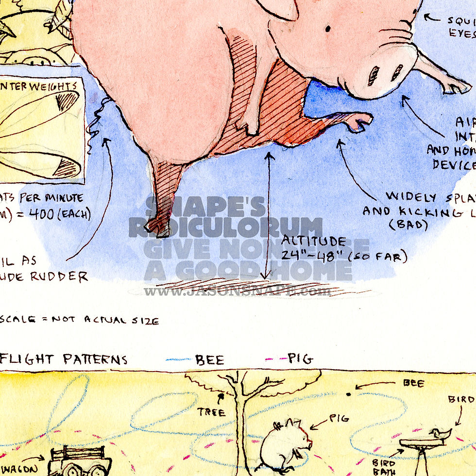 Thumbnail: Pig Aviation: Comparisons, 9"x12" illustrated print