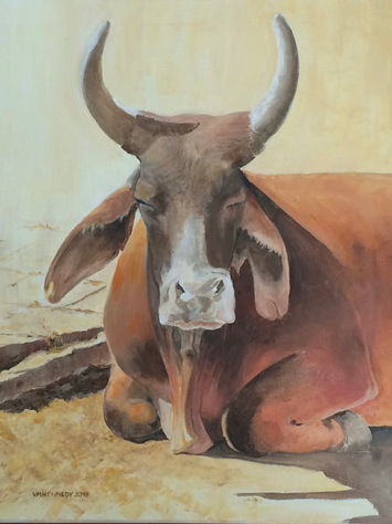 Indian Bull_Acrylic.JPG
