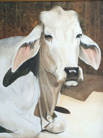 Indian cow_Acrylic.JPG