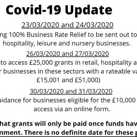 Government subsidies in more detail