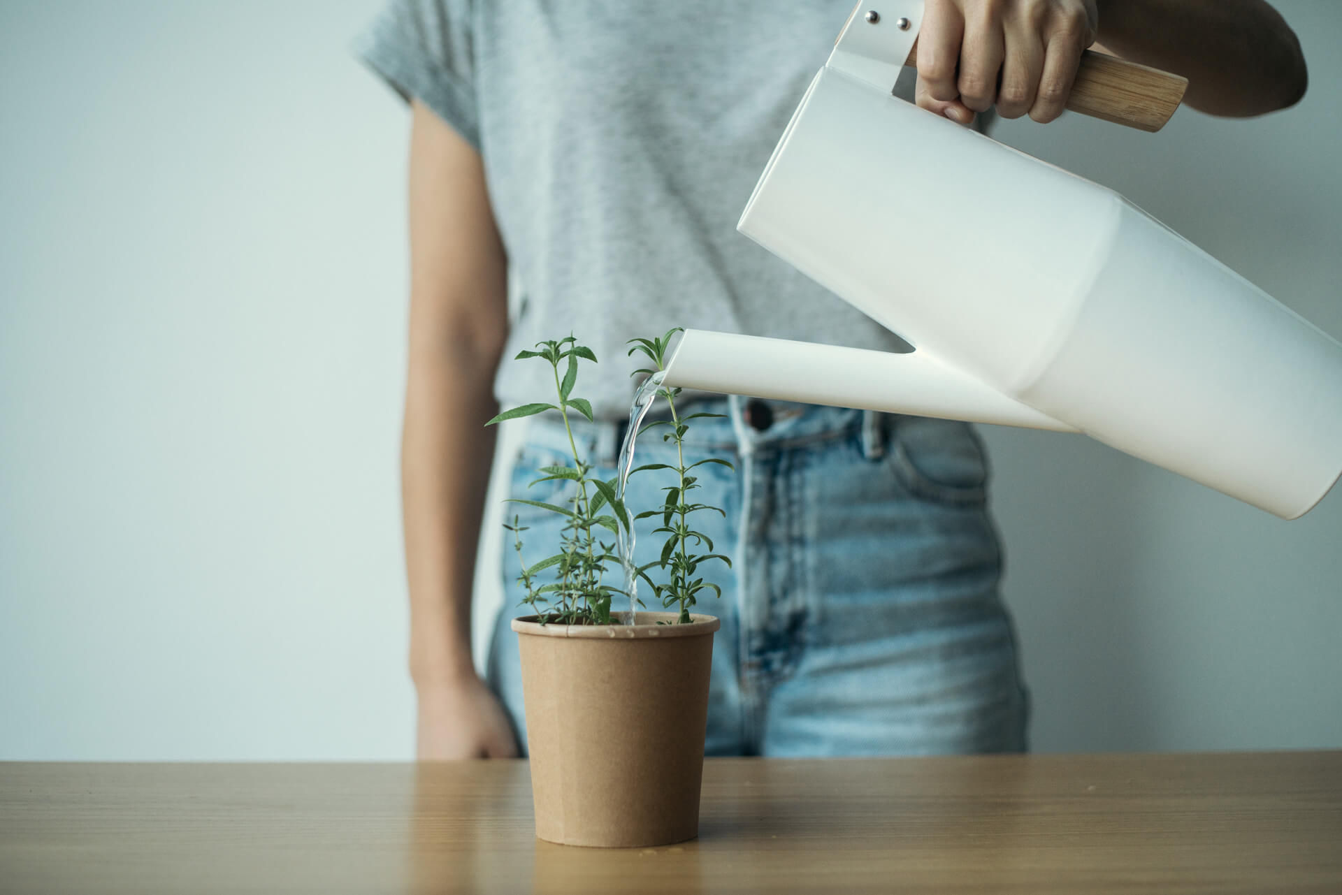 reuse-biodegradable-package-organic-seed-stick-herbs