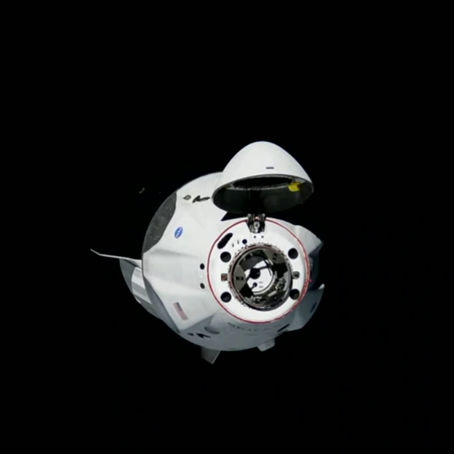 Crew Dragon Launch