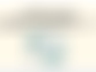 【ご利用の感想】店舗再構築の伴走支援・経営方針策定と新社長メンター