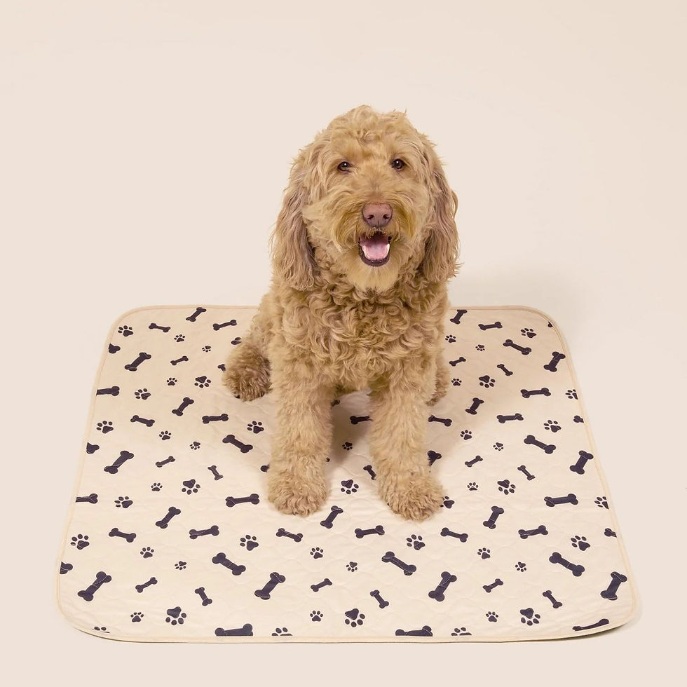 Potty Buddy - Durable Leak-Free Potty Pad