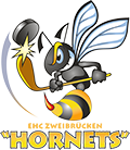 Hornets-top-logo.png