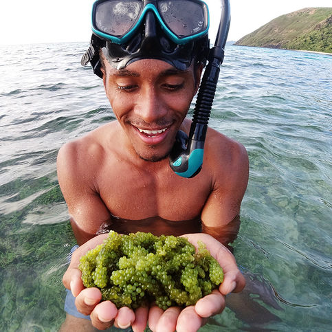 Pop Nama web DJI_0494.jpg