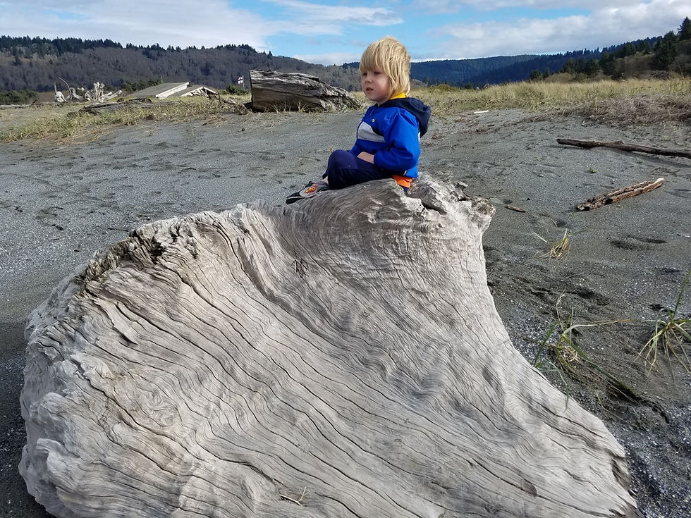 Yet another amazing beach. So Many!