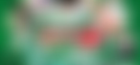 キャプテン翼CUPかつしか2026