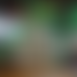 かつしかレクリエーションスポーツ体験会に参加しました！