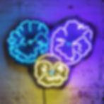 Approximate Neon Prices