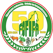 fofifa.png