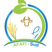 afafi.png