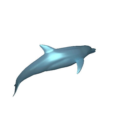 animated-dolphin-gif-2.gif