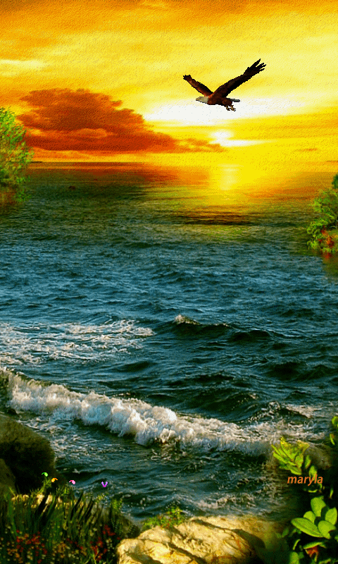 c8d3ab0c3edddfa12b14716a63a808c5.gif