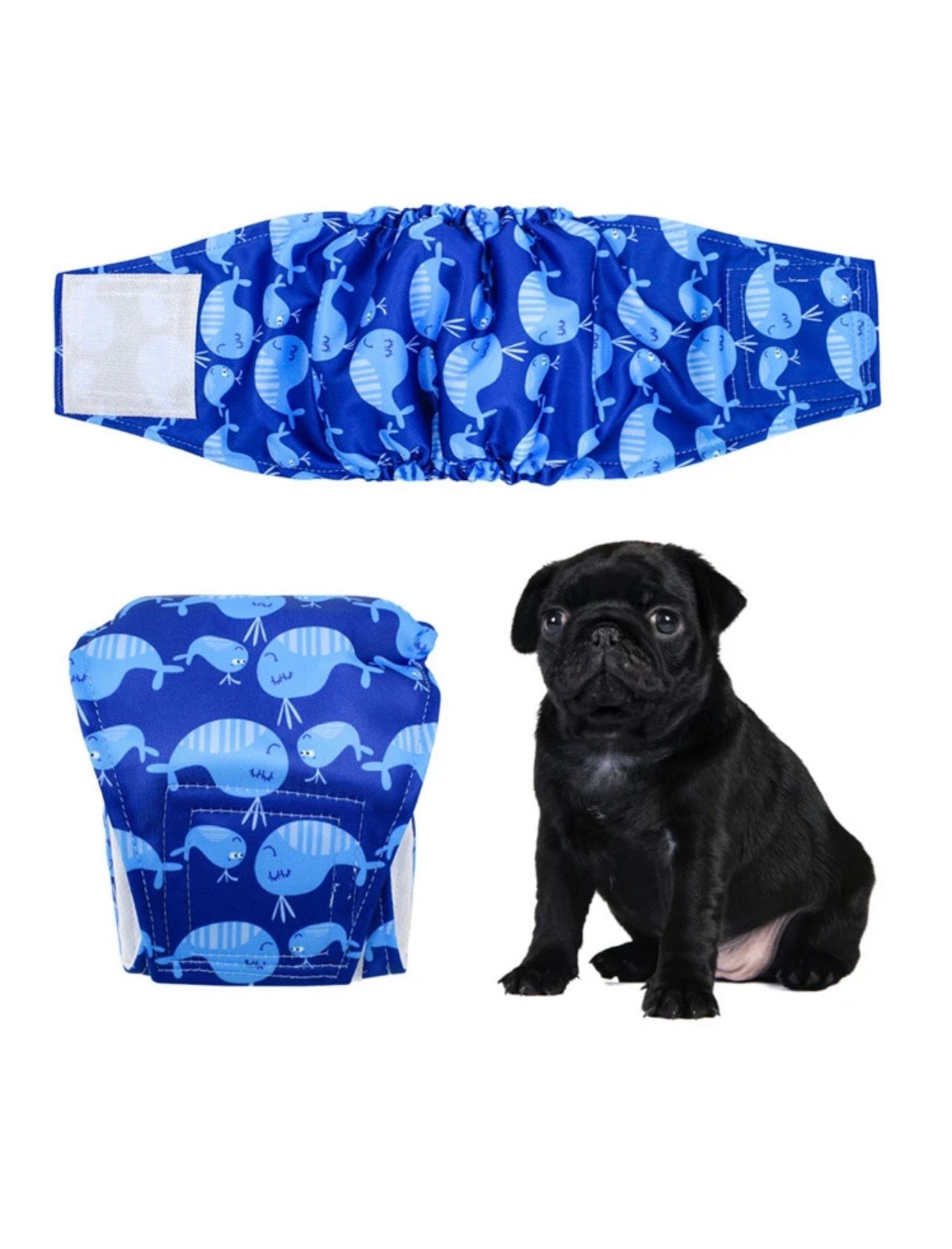 Male Whale Print Belly Band