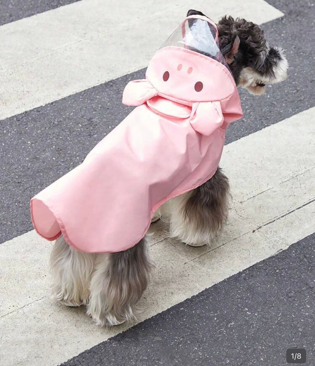 Pink Bear Hooded Raincoat